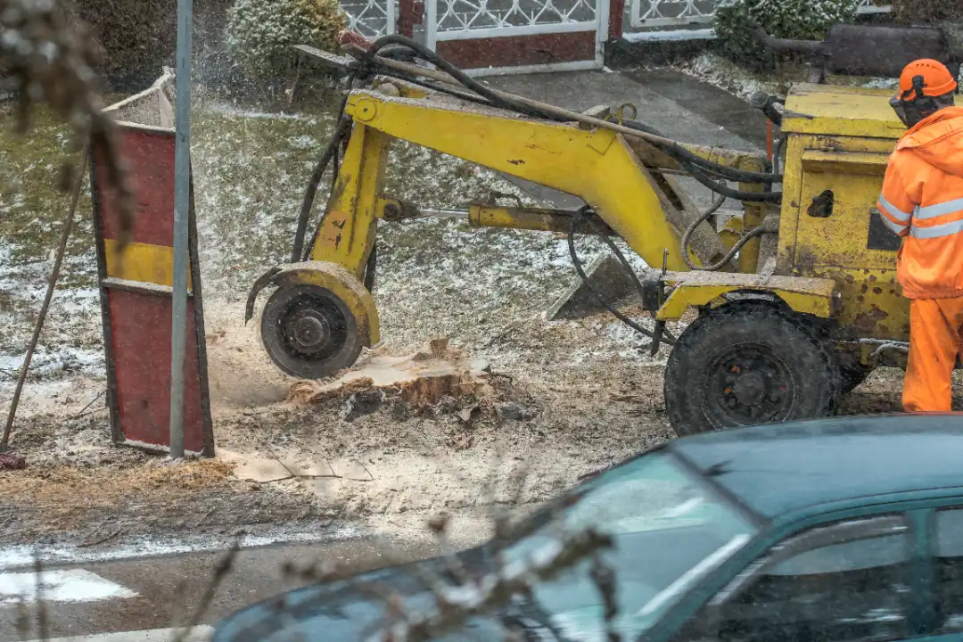 Stump Grinding Ipswich