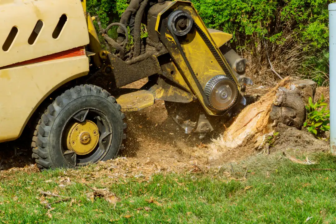 Stump Grinding Ipswich