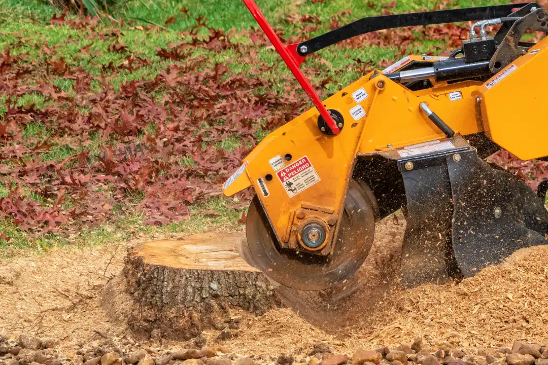 Stump Grinding Ipswich